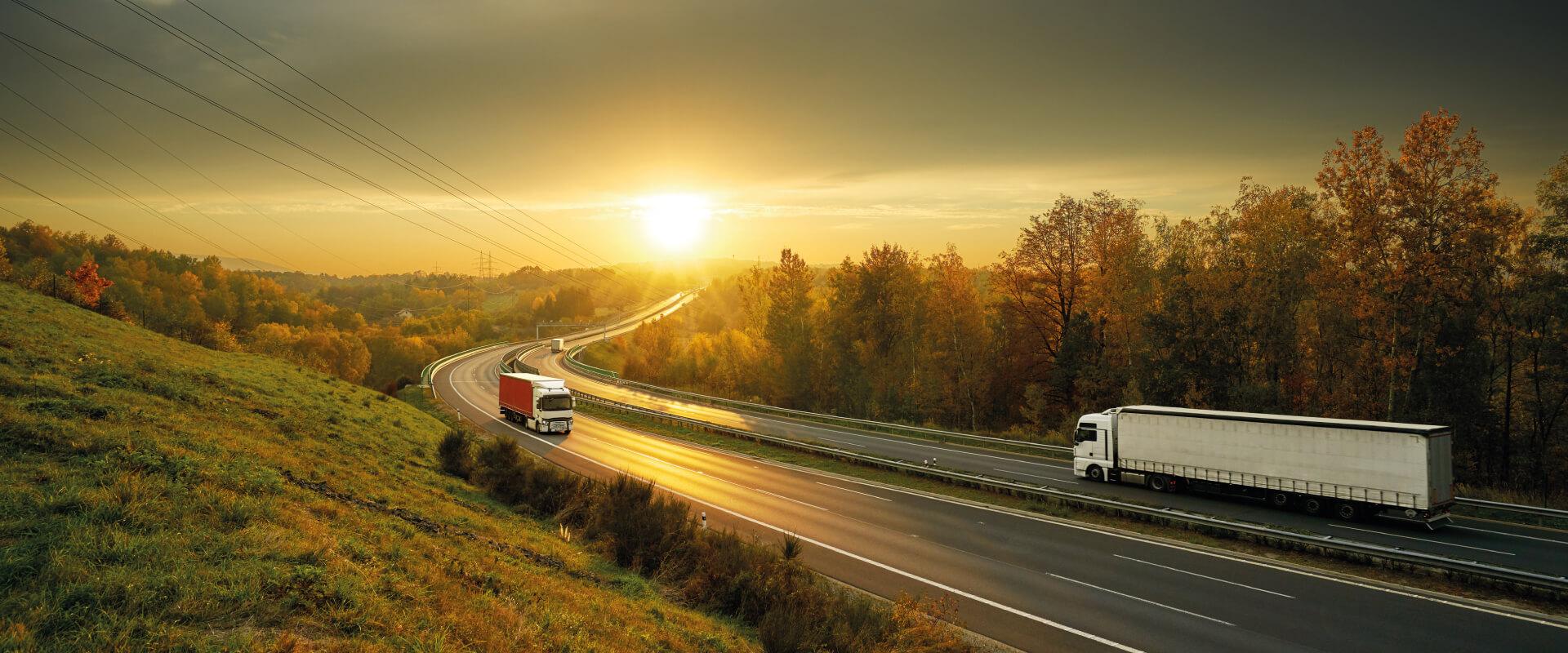 serbia albaran electrónico